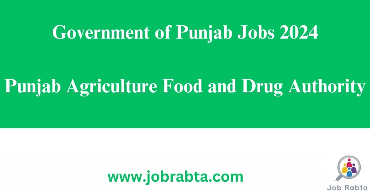 Government of Punjab Jobs