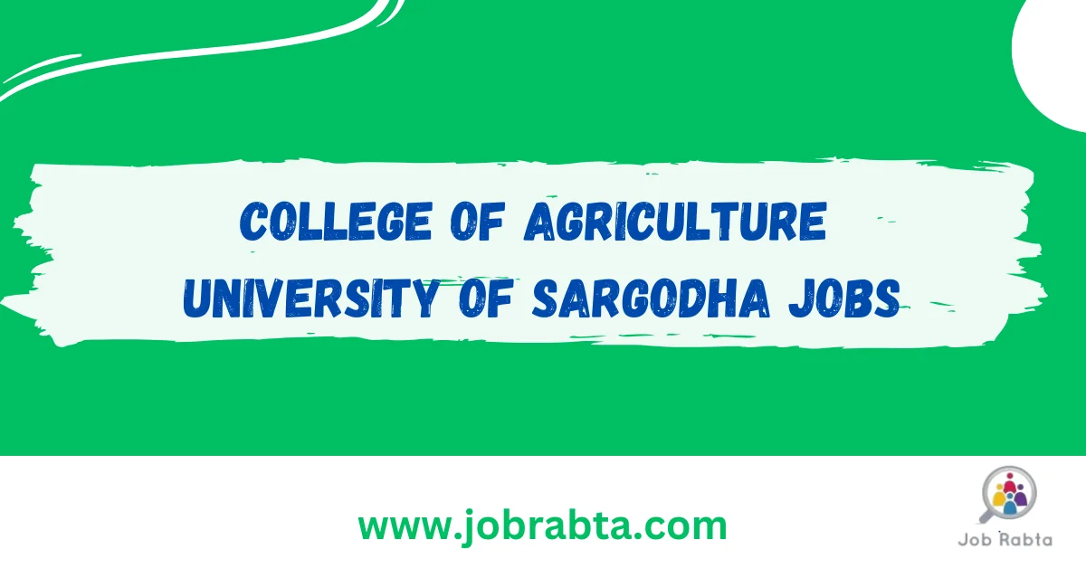 University of Sargodha Jobs