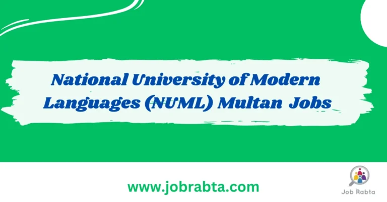 NUML University Multan Jobs